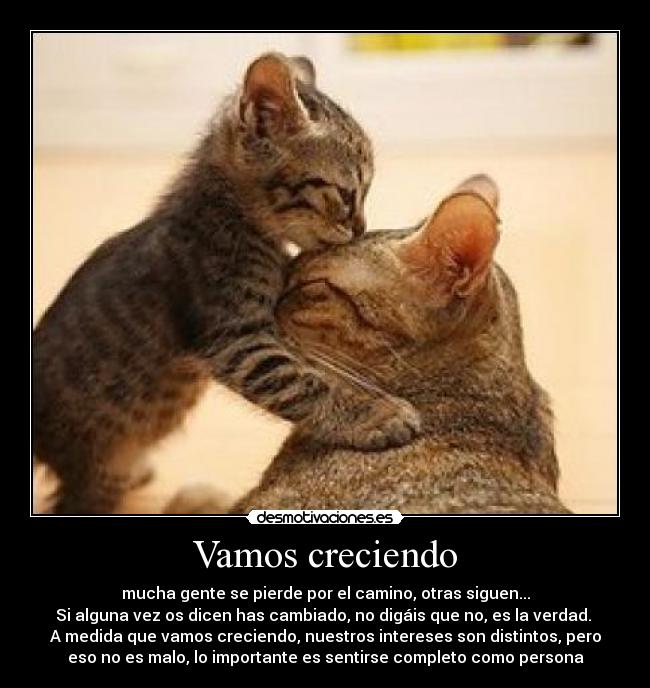 Vamos creciendo - mucha gente se pierde por el camino, otras siguen...
Si alguna vez os dicen has cambiado, no digáis que no, es la verdad. 
A medida que vamos creciendo, nuestros intereses son distintos, pero
eso no es malo, lo importante es sentirse completo como persona