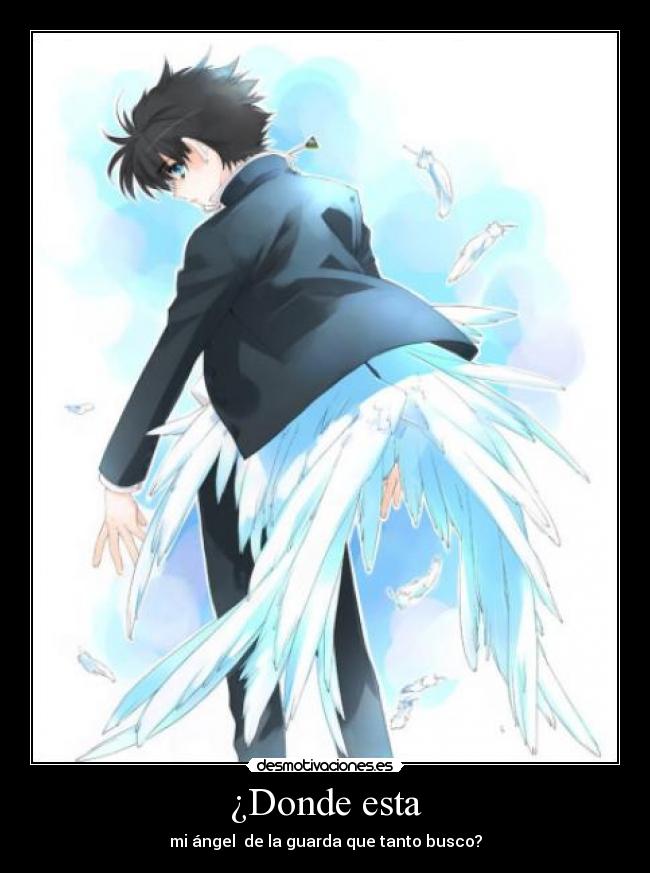 ¿Donde esta - mi ángel de la guarda que tanto busco?