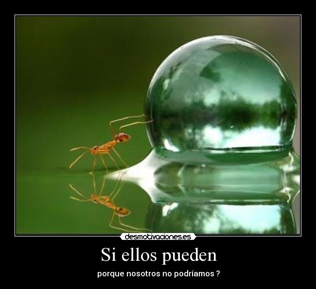 Si ellos pueden -