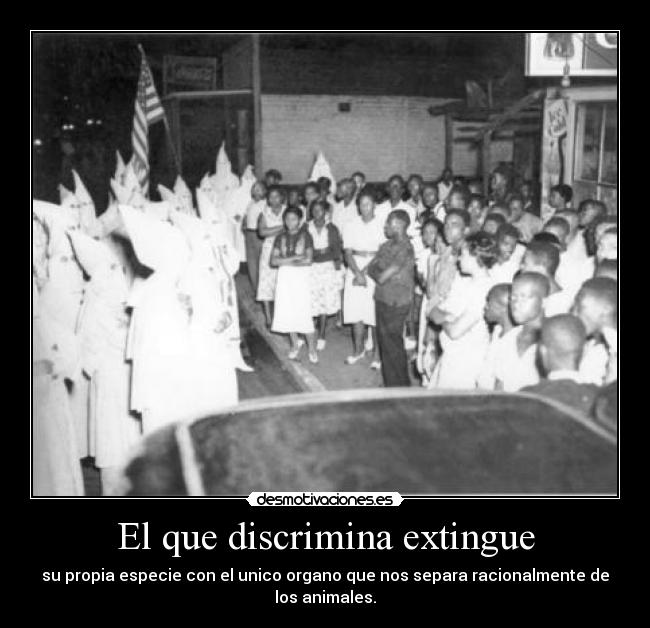 El que discrimina extingue - su propia especie con el unico organo que nos separa racionalmente de los animales.