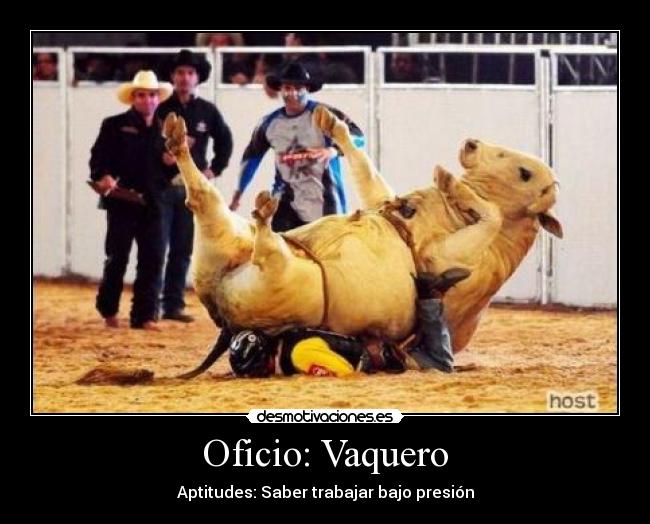 Oficio: Vaquero - Aptitudes: Saber trabajar bajo presión