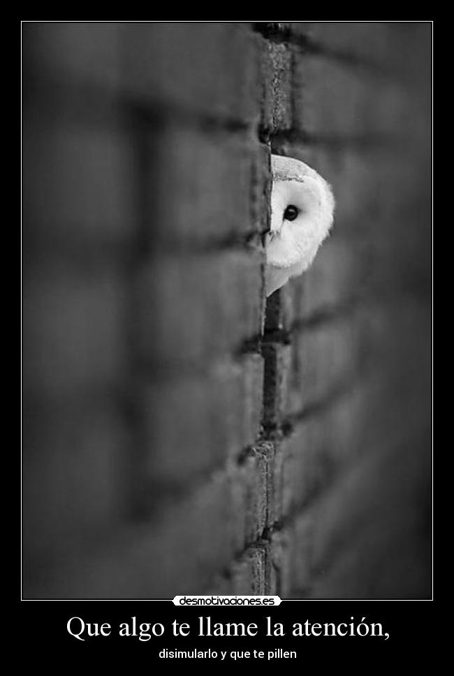 Que algo te llame la atención, - disimularlo y que te pillen