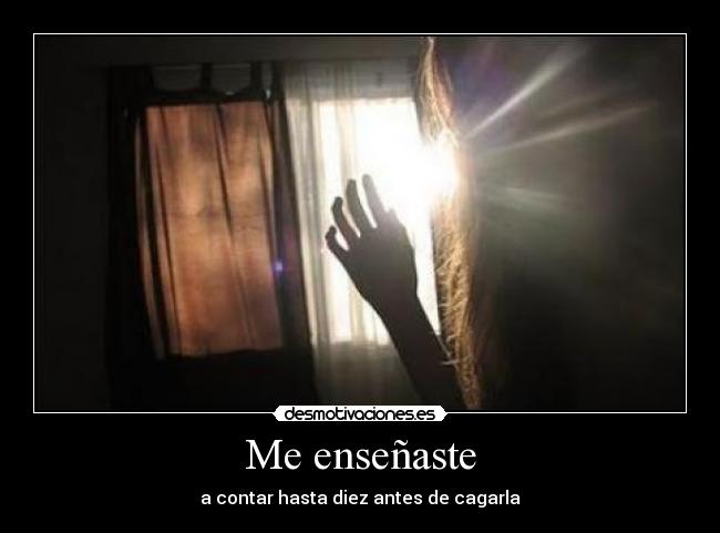 Me enseñaste - 