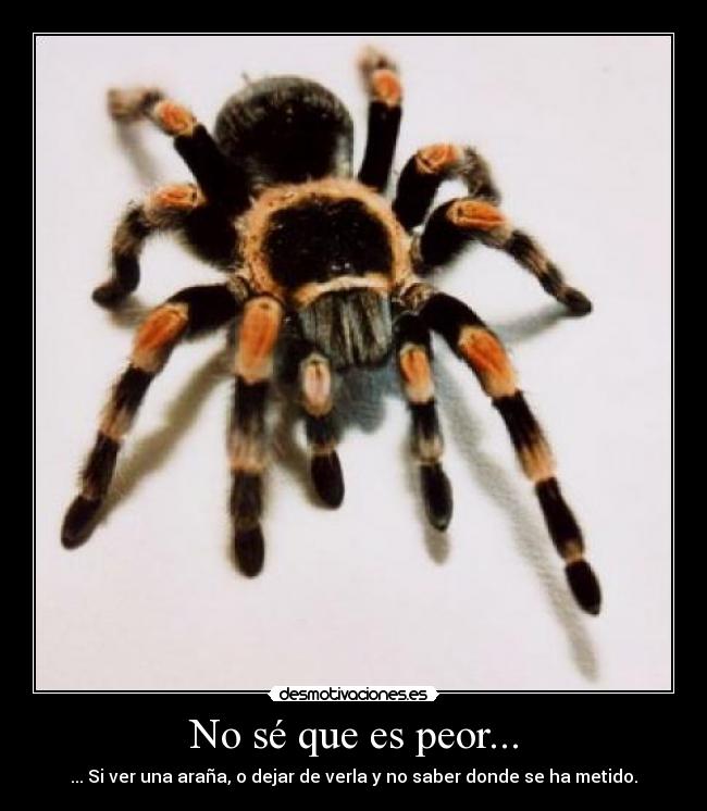 No sé que es peor... -