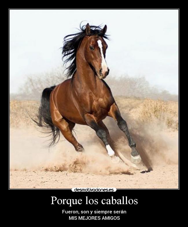 carteles caballos mejores amigos siempre desmotivaciones