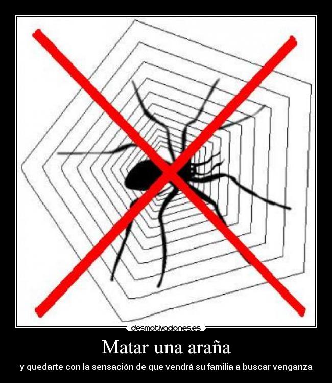 Matar una araña -