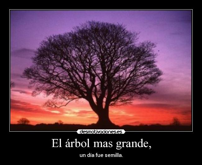 El árbol mas grande, - un día fue semilla.