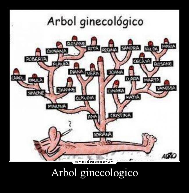 Arbol ginecologico - 