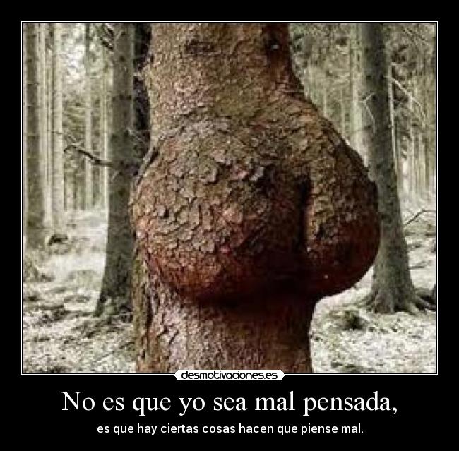No es que yo sea mal pensada, - es que hay ciertas cosas hacen que piense mal.