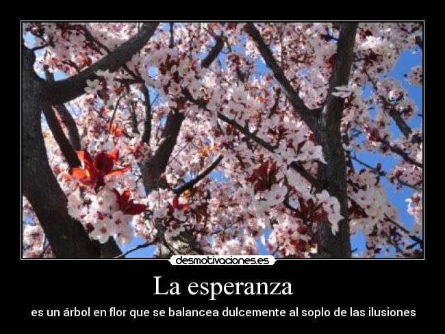 La esperanza - es un árbol en flor que se balancea dulcemente al soplo de las ilusiones