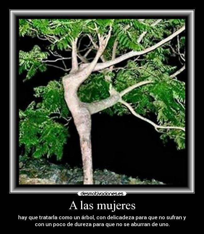 A las mujeres -