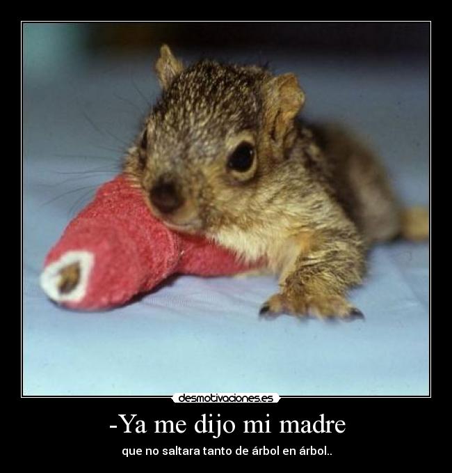 carteles madre sigueme twitter cuenta lgns desmotivaciones