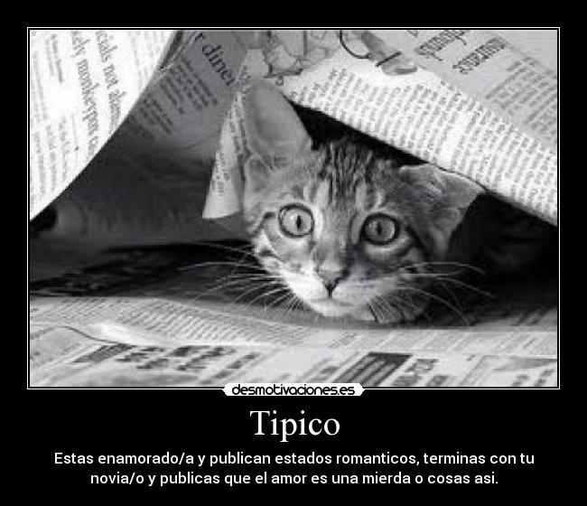 Tipico -