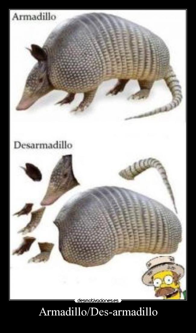 Armadillo/Des-armadillo -