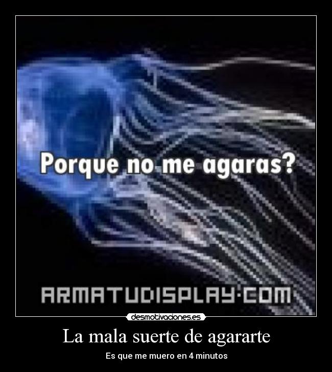 carteles avispa mar desmotivaciones