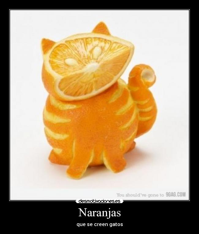Naranjas - que se creen gatos