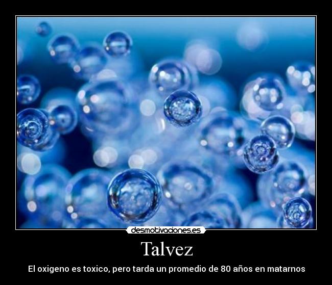 Talvez - 