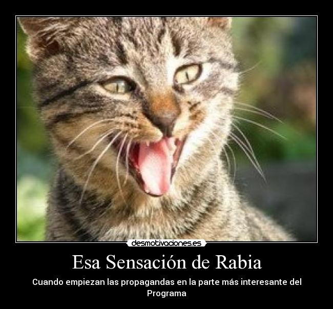 Esa Sensación de Rabia - 