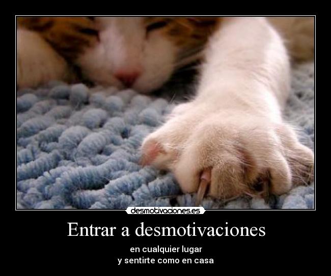 Entrar a desmotivaciones - en cualquier lugar
y sentirte como en casa
