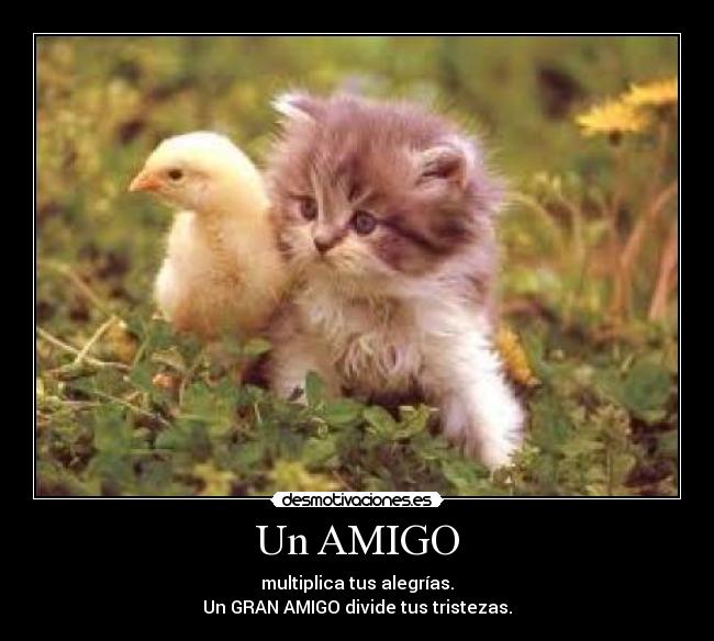 Un AMIGO - multiplica tus alegrías.
Un GRAN AMIGO divide tus tristezas.