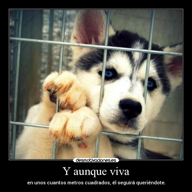 Y aunque viva -