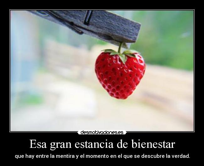 Esa gran estancia de bienestar -