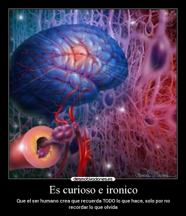 Es curioso e ironico - Que el ser humano crea que recuerda TODO lo que hace, solo por no
recordar lo que olvida