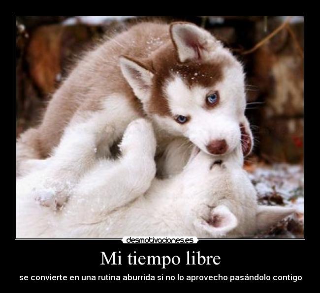 Mi tiempo libre - 