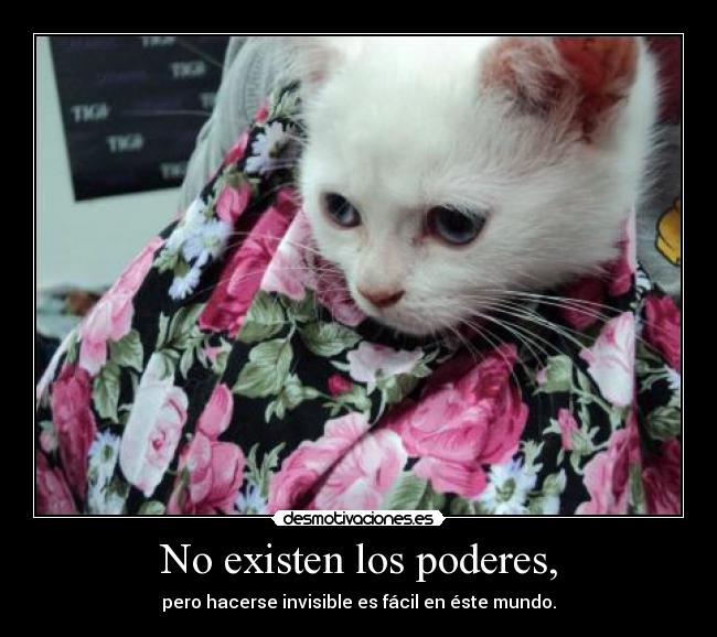 No existen los poderes, -