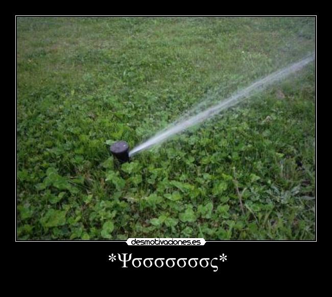 *Ψσσσσσσσς* -