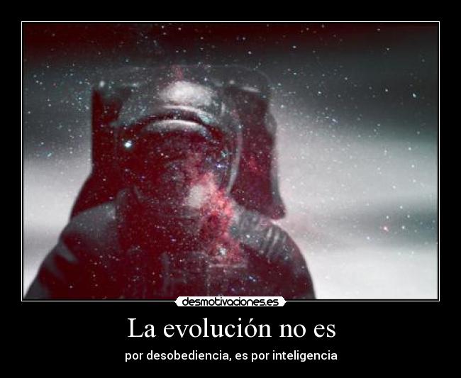 La evolución no es - 