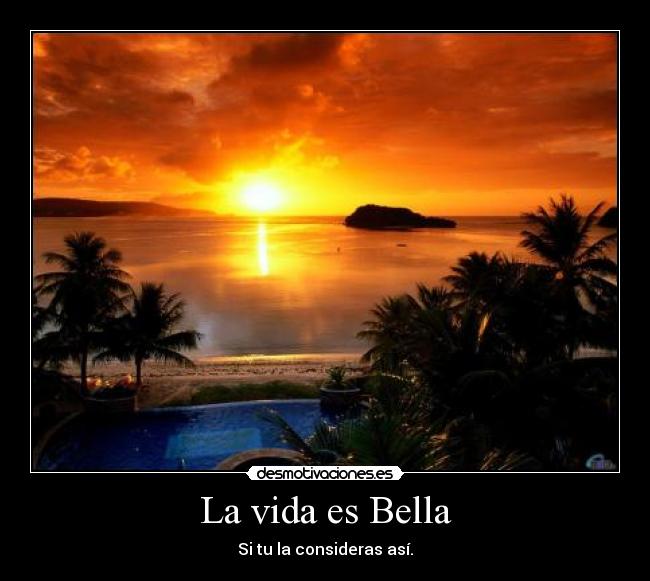 La vida es Bella - 