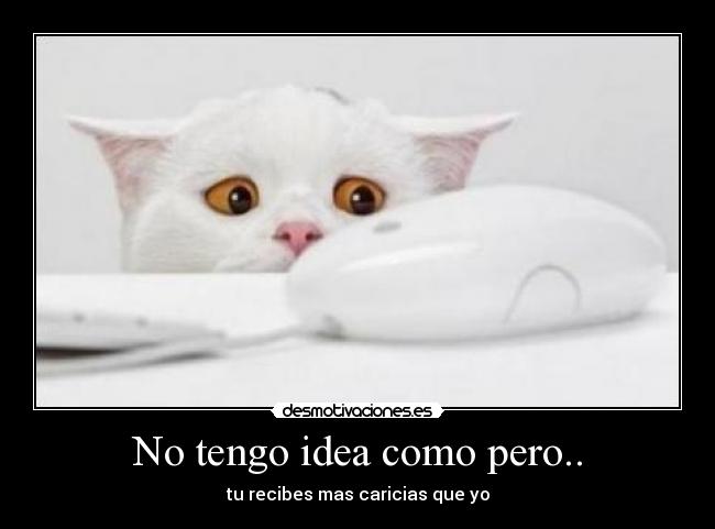 No tengo idea como pero.. - tu recibes mas caricias que yo
