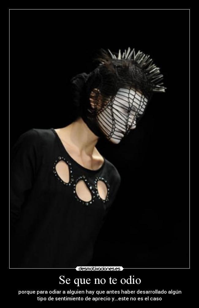 Se que no te odio - porque para odiar a alguien hay que antes haber desarrollado algún
tipo de sentimiento de aprecio y...este no es el caso
