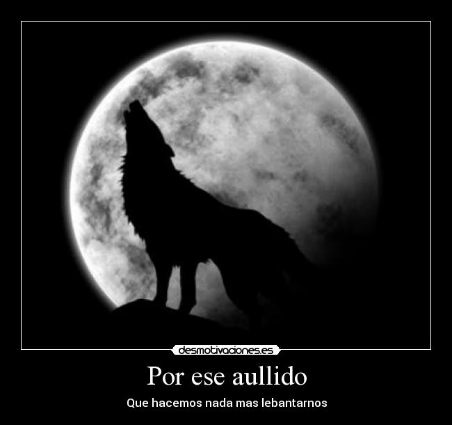 carteles aullido recien lebantado desmotivaciones