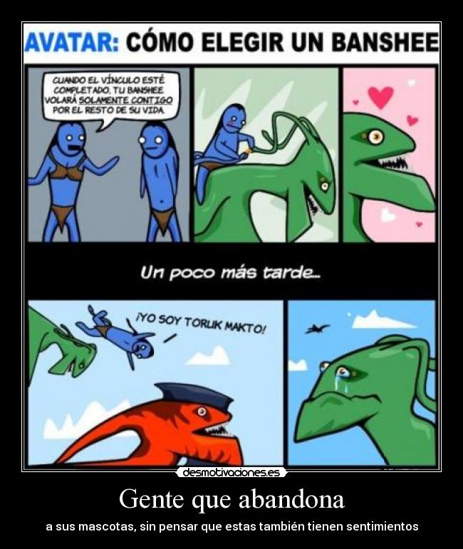 Gente que abandona - a sus mascotas, sin pensar que estas también tienen sentimientos