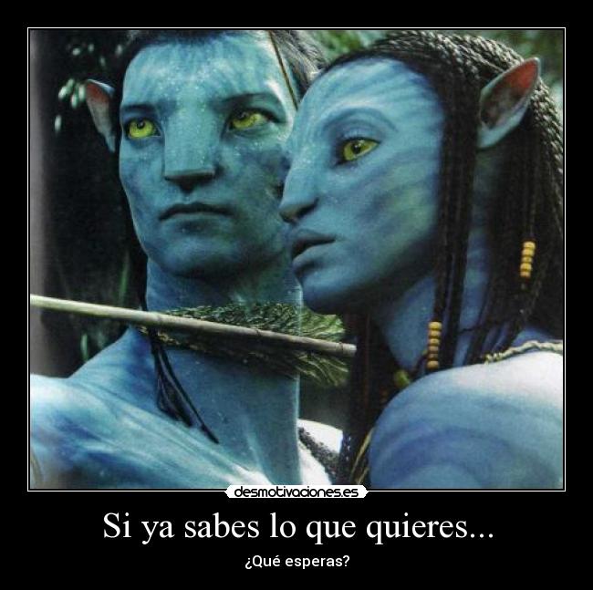Si ya sabes lo que quieres... - 