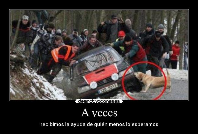 A veces - recibimos la ayuda de quién menos lo esperamos