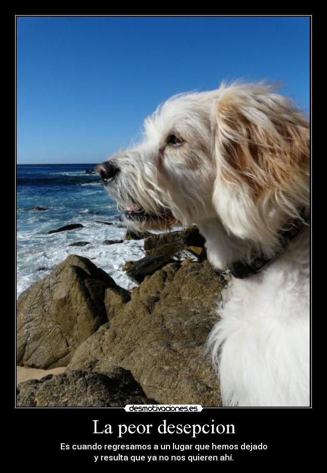 La peor desepcion -