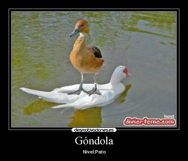 Góndola - Nivel:Pato