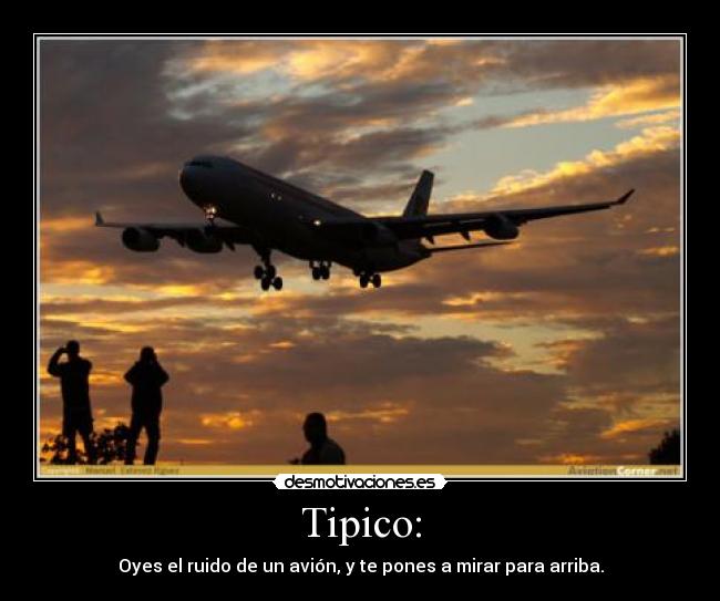 Tipico: -