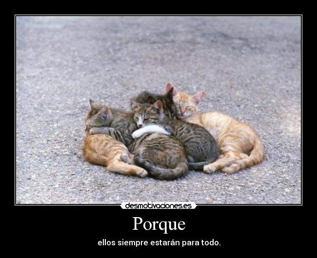 Porque - ellos siempre estarán para todo.