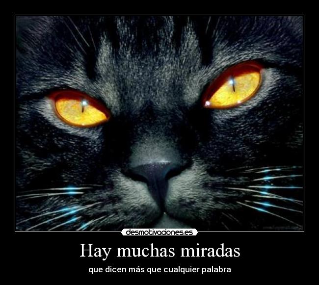 Hay muchas miradas - 