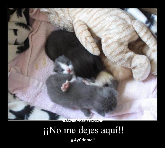 carteles doctor sus chistoretes xxxvi desmotivaciones