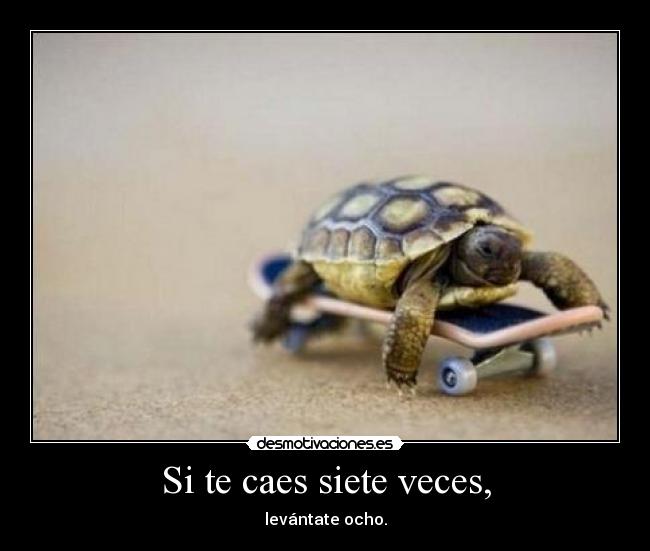 Si te caes siete veces, - 