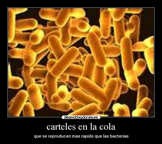 carteles en la cola -