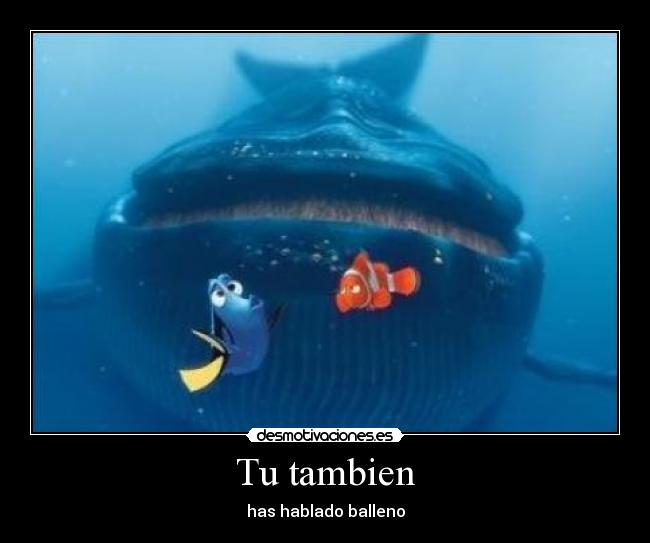 Tu tambien - has hablado balleno