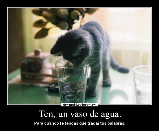 Ten, un vaso de agua. - Para cuando te tengas que tragar tus palabras.