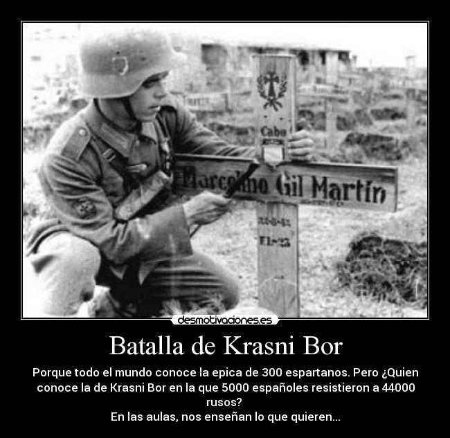 Batalla de Krasni Bor - Porque todo el mundo conoce la epica de 300 espartanos. Pero ¿Quien
conoce la de Krasni Bor en la que 5000 españoles resistieron a 44000
rusos?
En las aulas, nos enseñan lo que quieren...