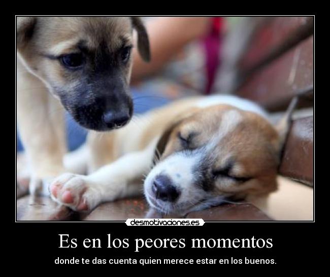 Es en los peores momentos - donde te das cuenta quien merece estar en los buenos.